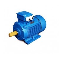Асинхронные общепромышленные электродвигатели 1000 оборотов в минуту